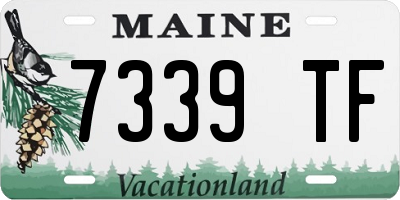 ME license plate 7339TF