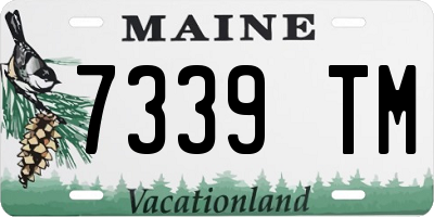 ME license plate 7339TM