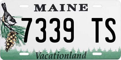 ME license plate 7339TS