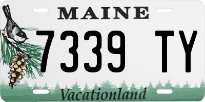 ME license plate 7339TY