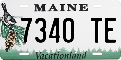 ME license plate 7340TE