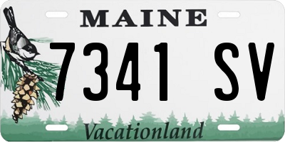 ME license plate 7341SV
