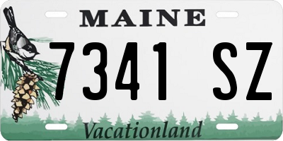 ME license plate 7341SZ