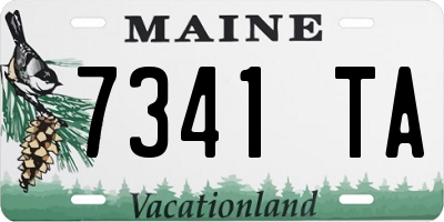 ME license plate 7341TA