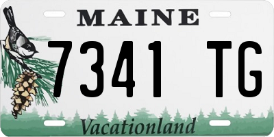 ME license plate 7341TG