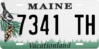 ME license plate 7341TH