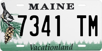 ME license plate 7341TM