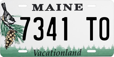 ME license plate 7341TO