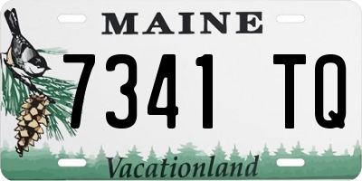ME license plate 7341TQ