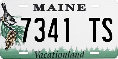 ME license plate 7341TS