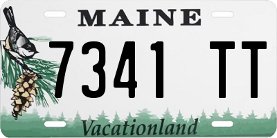 ME license plate 7341TT