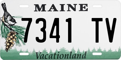 ME license plate 7341TV