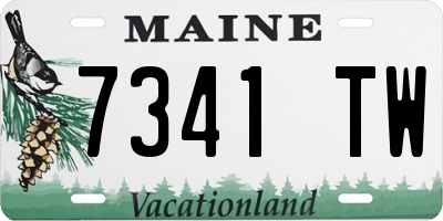 ME license plate 7341TW