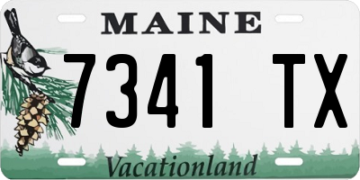 ME license plate 7341TX