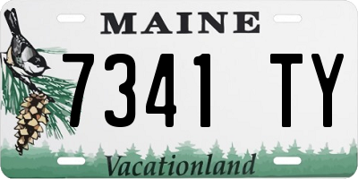 ME license plate 7341TY