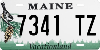 ME license plate 7341TZ