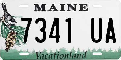ME license plate 7341UA
