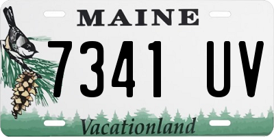 ME license plate 7341UV