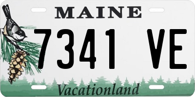 ME license plate 7341VE