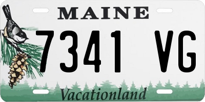 ME license plate 7341VG