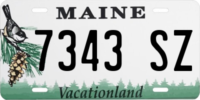 ME license plate 7343SZ