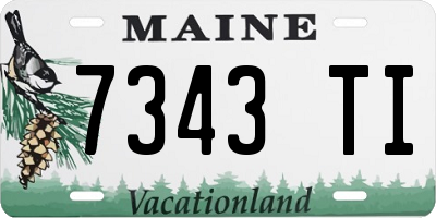 ME license plate 7343TI