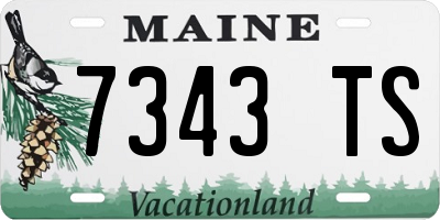 ME license plate 7343TS