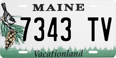 ME license plate 7343TV