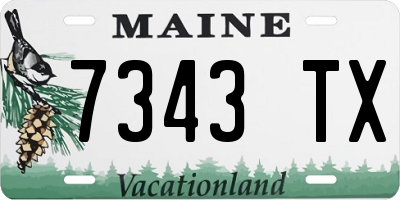 ME license plate 7343TX