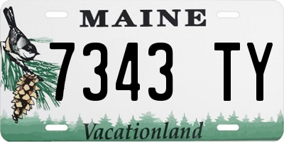 ME license plate 7343TY