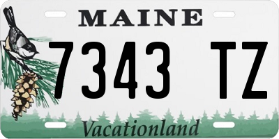 ME license plate 7343TZ