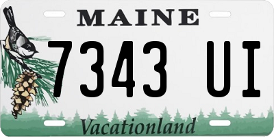 ME license plate 7343UI