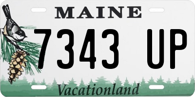 ME license plate 7343UP