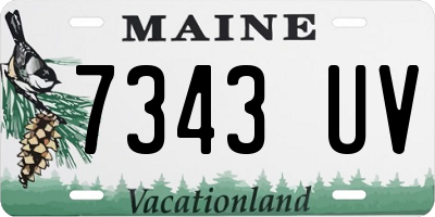 ME license plate 7343UV