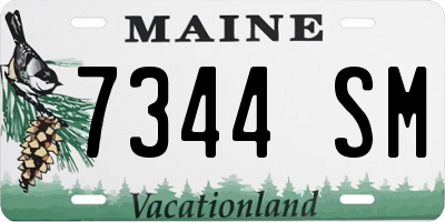 ME license plate 7344SM