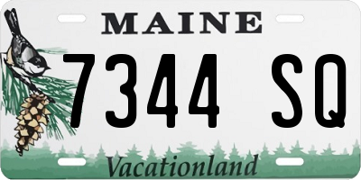 ME license plate 7344SQ