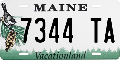 ME license plate 7344TA