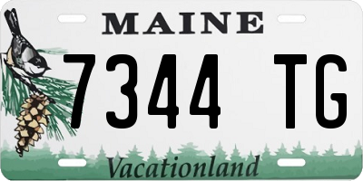 ME license plate 7344TG