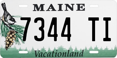 ME license plate 7344TI