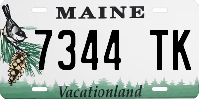 ME license plate 7344TK