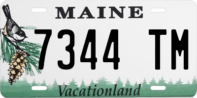 ME license plate 7344TM