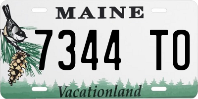 ME license plate 7344TO