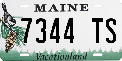ME license plate 7344TS
