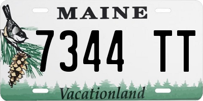 ME license plate 7344TT