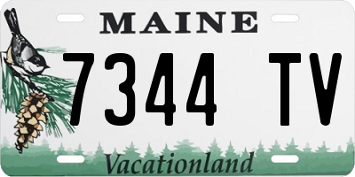 ME license plate 7344TV