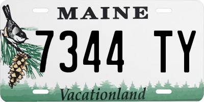 ME license plate 7344TY