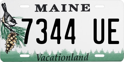 ME license plate 7344UE