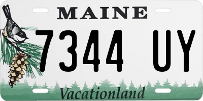 ME license plate 7344UY