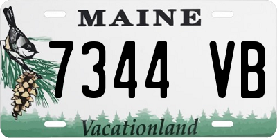 ME license plate 7344VB