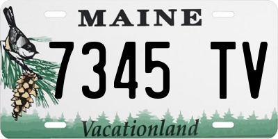 ME license plate 7345TV